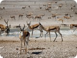 Namibia Discovery-0059